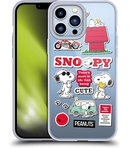 Amazon.com: Compatible with iPhone 13 Pro Max Mirror Wallet Case